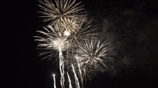 Nachrichten Französisch Bonne Année 2026 Video 