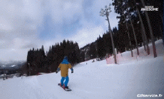 Humor -  Fun Sports SnowBoard Free Style Fun Win 