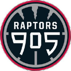Sports Basketball U.S.A - N B A Gatorade Raptors 905 