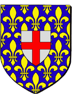 Bandiere Francia Dipartimenti - Città 80 DOULLENS 