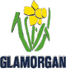 Sportivo Cricket Regno Unito Glamorgan County 