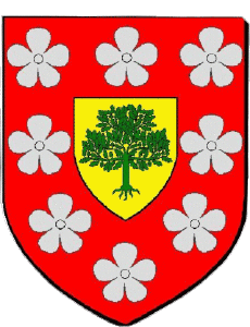 Drapeaux France Départements - Villes 76 TANCARVILLE 