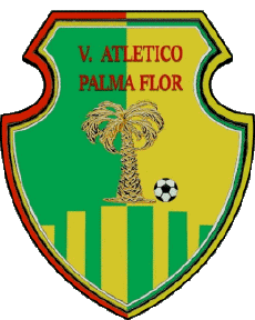 Deportes Fútbol  Clubes America Bolivia Club Atlético Palmaflor 