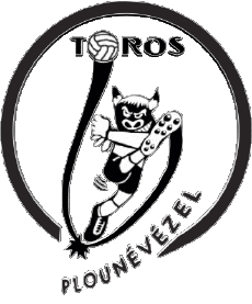 Deportes Fútbol Clubes Francia Bretagne 29 - Finistère Toros de Plounévézel 