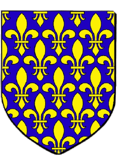 Blasón-Banderas Francia Departamentos - Ciudades 93 SAINT DENIS 