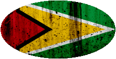 Drapeaux Amériques Guyana Ovale 