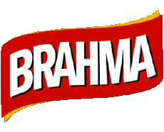 Bebidas Cervezas Brazil Brahma 