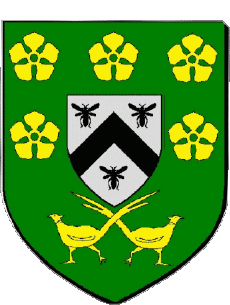 Blason-Drapeaux France Départements - Villes 41 SALBRIS 