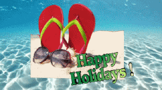 Messages English Happy Holidays Animated Background 002 
