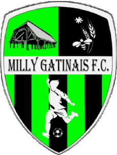 Sport Fußballvereine Frankreich Ile-de-France 91 - Essonne FC MILLY GATINAIS 