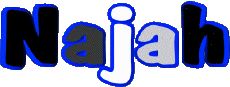 Nombre FEMENINO - Magreb Musulmán N Najah 