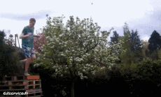 Humor - Fun Deportes Trampolín Afuera Fail 