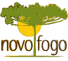 Drinks Cachaca Novo Fogo 