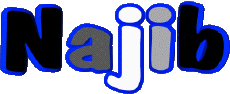 First Names MASCULINE - Maghreb Muslim N Najib 