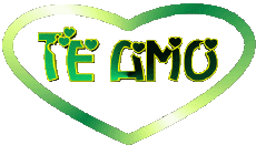 Messages Spanish Te Amo Heart 