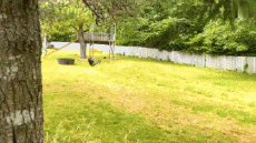 Humor -  Fun Sports Taggle rope Fail 