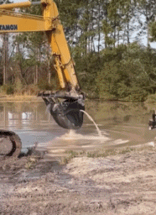 Humor -  Fun Transport Baumaschinen Fail 