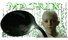 Multimedia V International Matrix Französisches Logo 