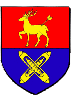 Blasone-Bandiere Francia Dipartimenti - Città 38 VOIRON 