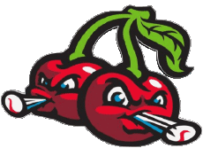 Sports Baseball U.S.A - Northwoods League Traverse City Pit Spitters 