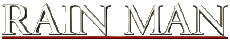 Multimedia V International Rain Man Logo 
