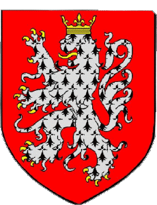 Bandiere Francia Dipartimenti - Città 15 RIOM ES MONTAGNE 