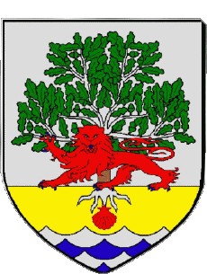 Blazon-Flags France Departments - Cities 40 SOUSTONS Blazon