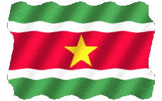 Flags America Suriname Waving 