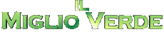 Multimedia Film Internazionale Il Miglio Verde Logo Italiano 