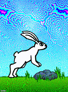 Humour - Fun GIF Artistes Bill Tavis 