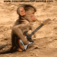 Umorismo -  Fun Animali Scimmie 01 