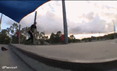 Humor -  Fun Transport Scooter Fun Win 