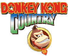 Multi Media Video Games Super Mario Donkey Kong Country 