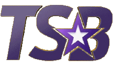 Multi Media Channels - TV World Indonesia TSB Indonesia 