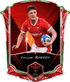 Sportivo Rugby - Giocatori Galles Squadra 2022 Callum Sheedy 