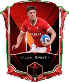 Sports Rugby - Joueurs Pays de Galles Callum Sheedy 