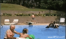 Humor -  Fun Sports Dive Falls - Fail 