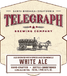White ale-Bebidas Cervezas USA Telegraph Brewing 