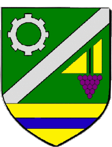 Bandiere Francia Dipartimenti - Città 45 SAINT JEAN DE LA RUELLE 