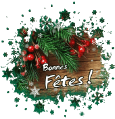 Messagi Francese Bonnes Fêtes (Noël) Serie 14 