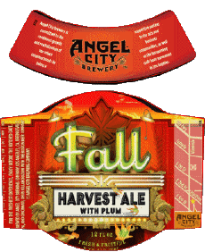 Fall - Harvest ale with plum-Bevande Birre USA Angel City Brewery 