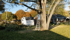 Umorismo -  Fun PERSONE Boscaiolo - Legname ! Fail 