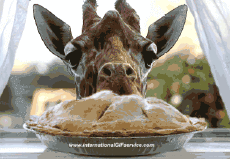 Humor - Fun Animales Jirafas 01 