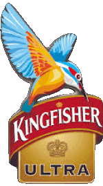 Bebidas Cervezas India Kingfisher 