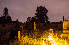 Humour - Fun GIF Artistes Lucea Spinelli 