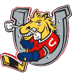 Sport Eishockey Kanada - O H L Barrie Colts 