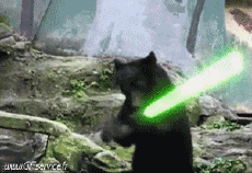 Humor - Fun Animales Oso 01 