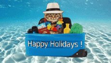 Mensajes Inglés Happy Holidays Fondo animado 002 