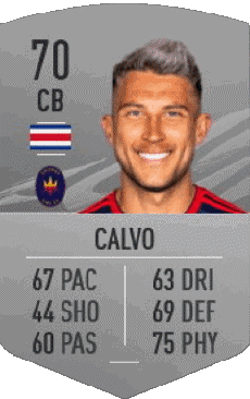 Multi Média Jeux Vidéo F I F A - Joueurs Cartes Costa Rica Francisco Calvo 