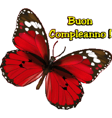Messagi Italiano Buon Compleanno Farfalle 004 